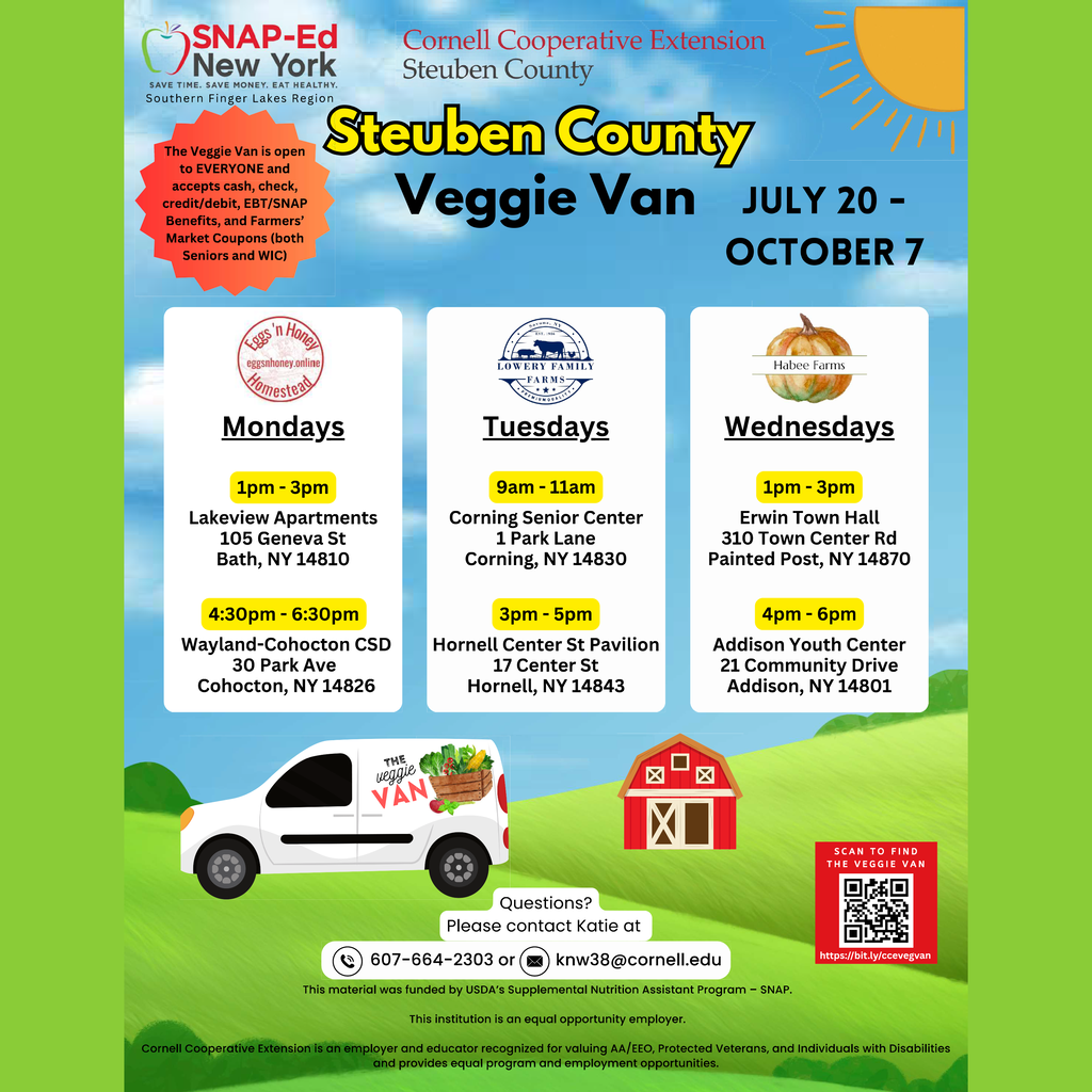 Vegie Van Graphic