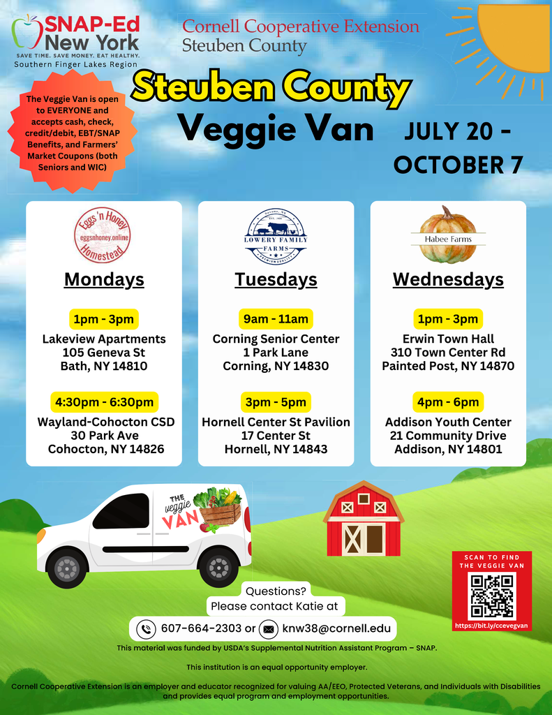 Veggie Van Flyer