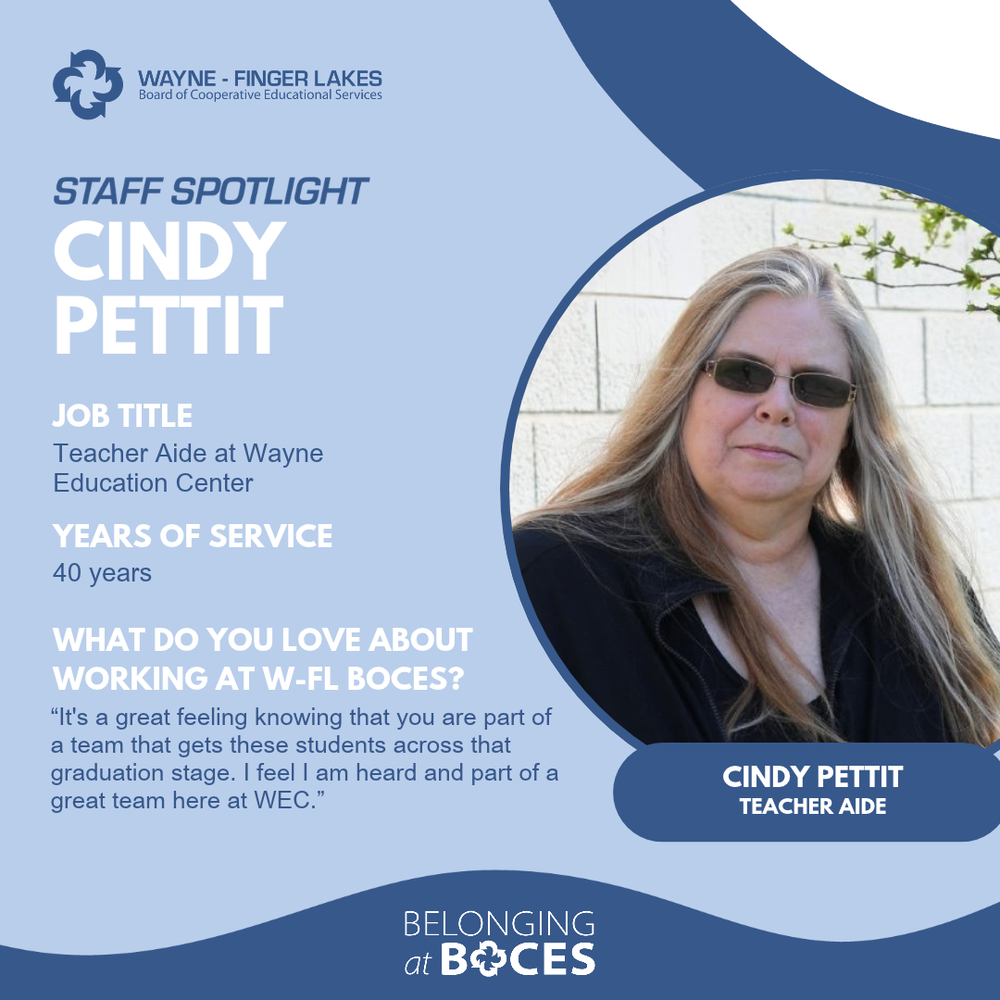 cindy pettit spotlight