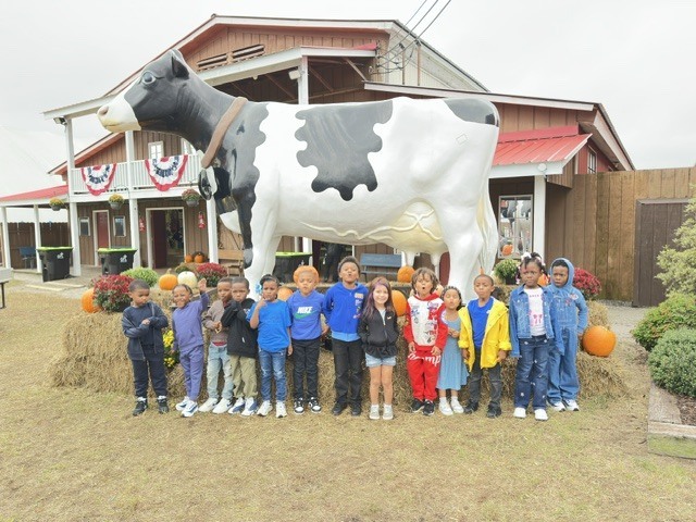 Hooks class with cow
