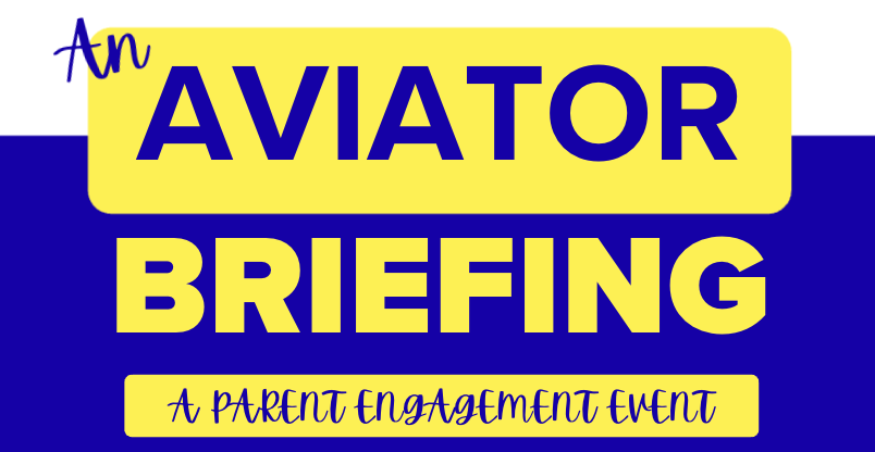 AN AVIATOR BRIEFING