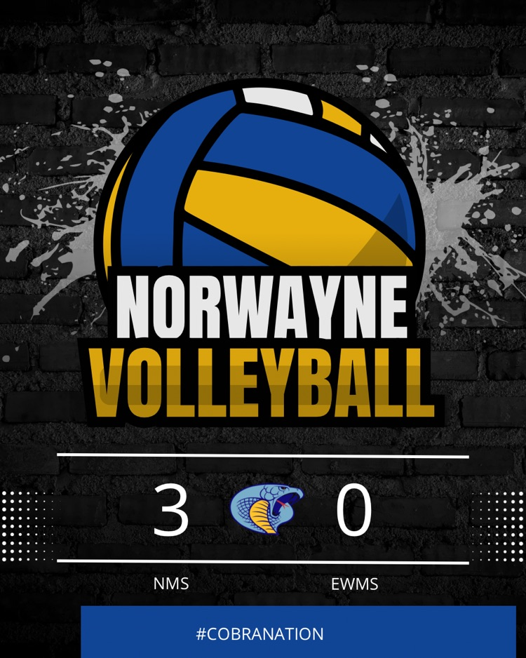 vb