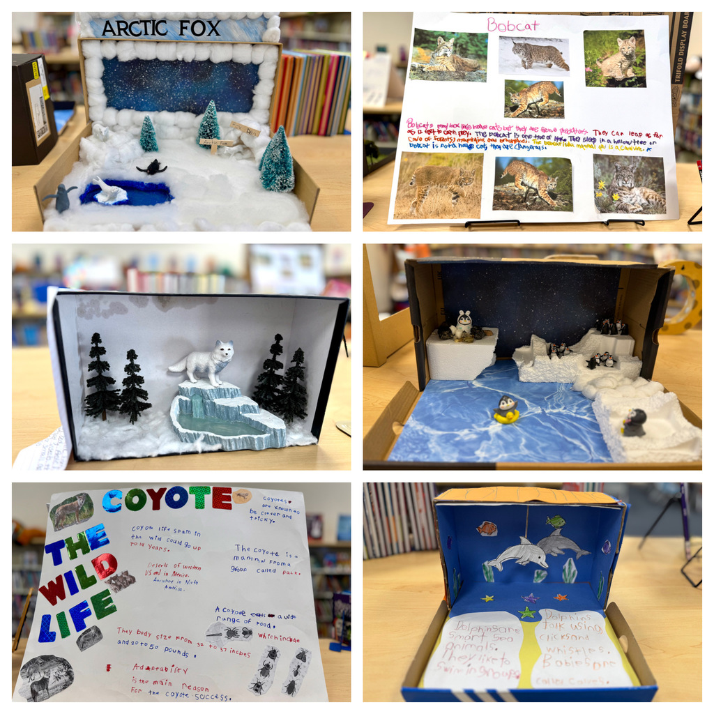 animal diorama projects and posters