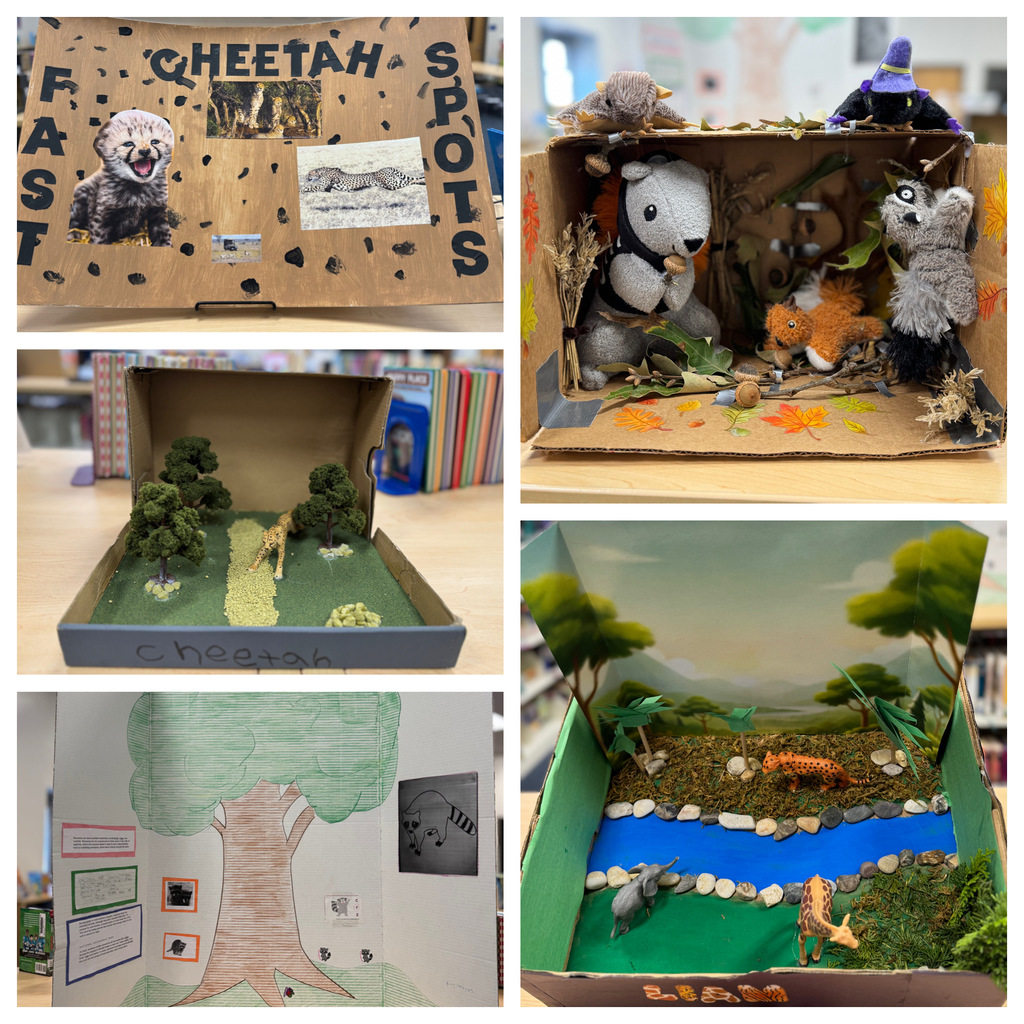 animal diorama projects and posters