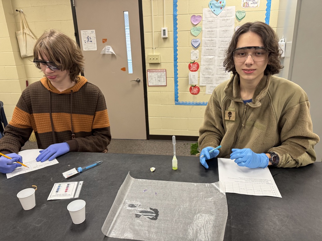 Two young men experimenting with acids and bases in class.