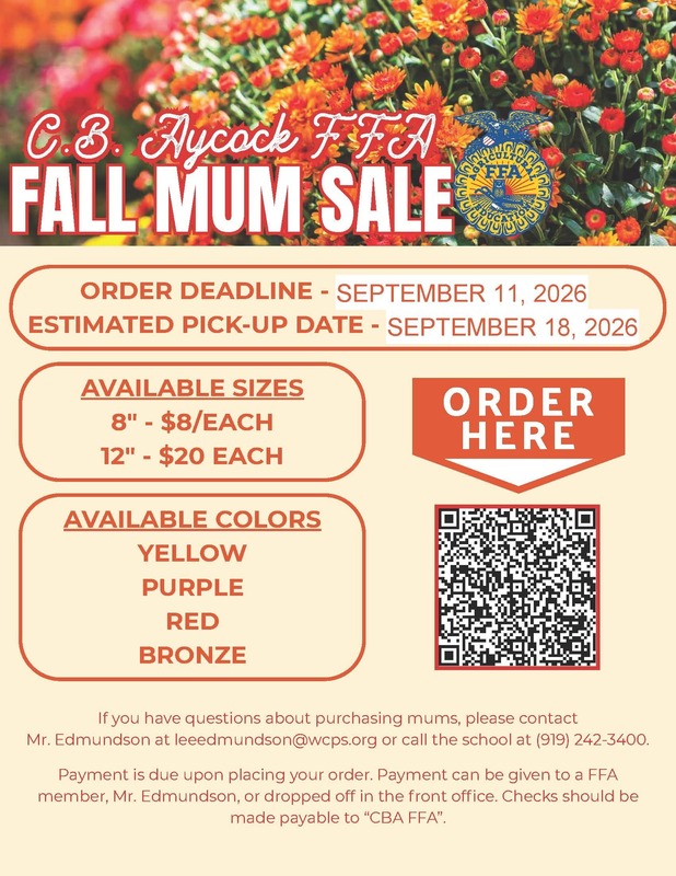 Fall mum plant sales