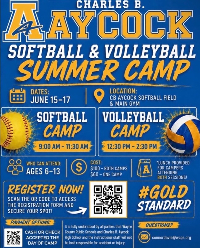 volleyball softball camp