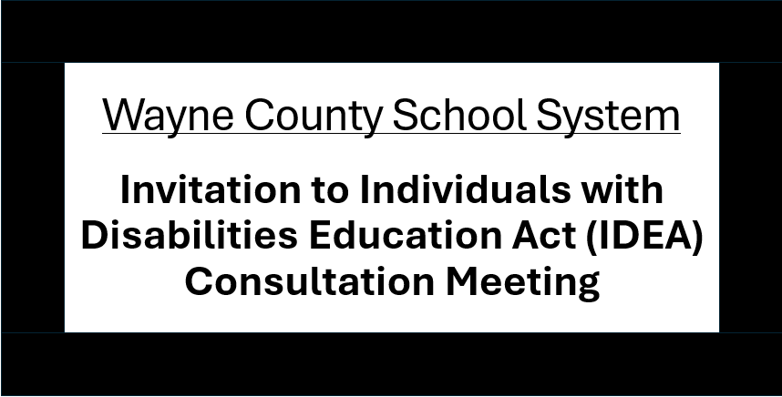 IDEA Consultation Meeting