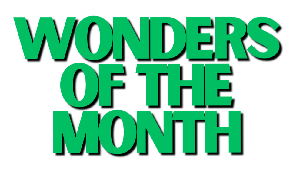 wonders of the month