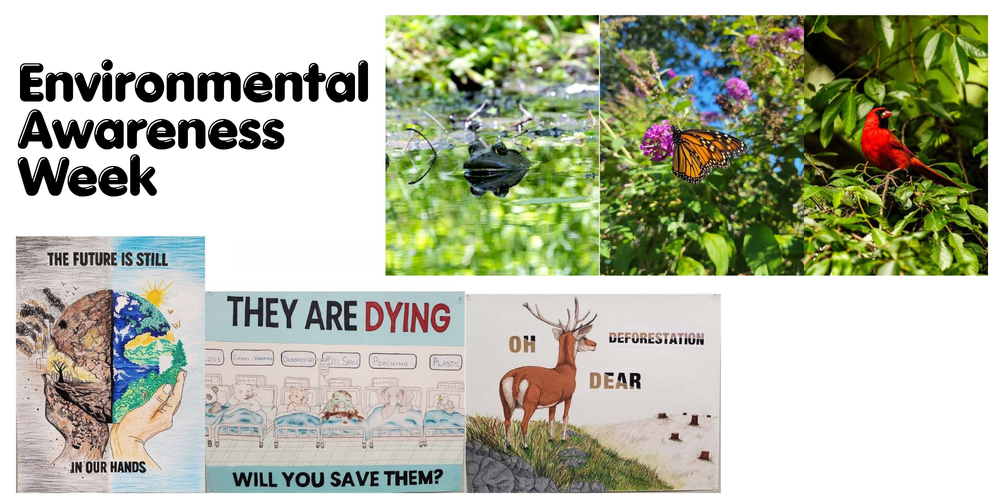 Winners of poster and photo contests
