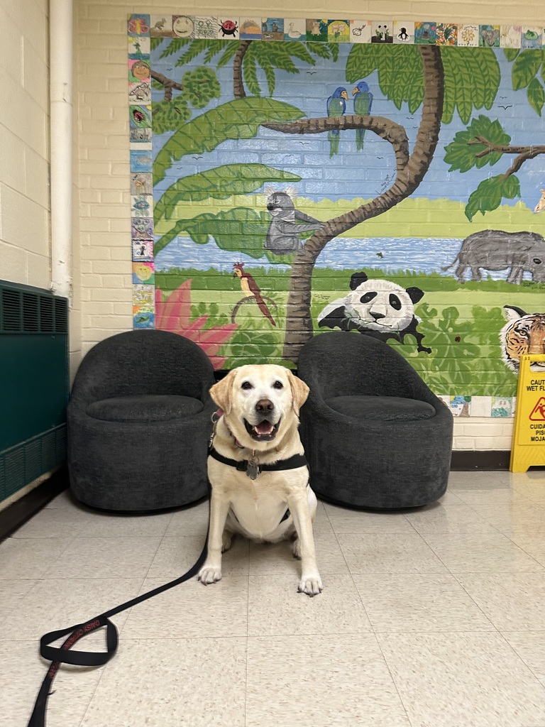 Daisy covers for Principal Doolittle