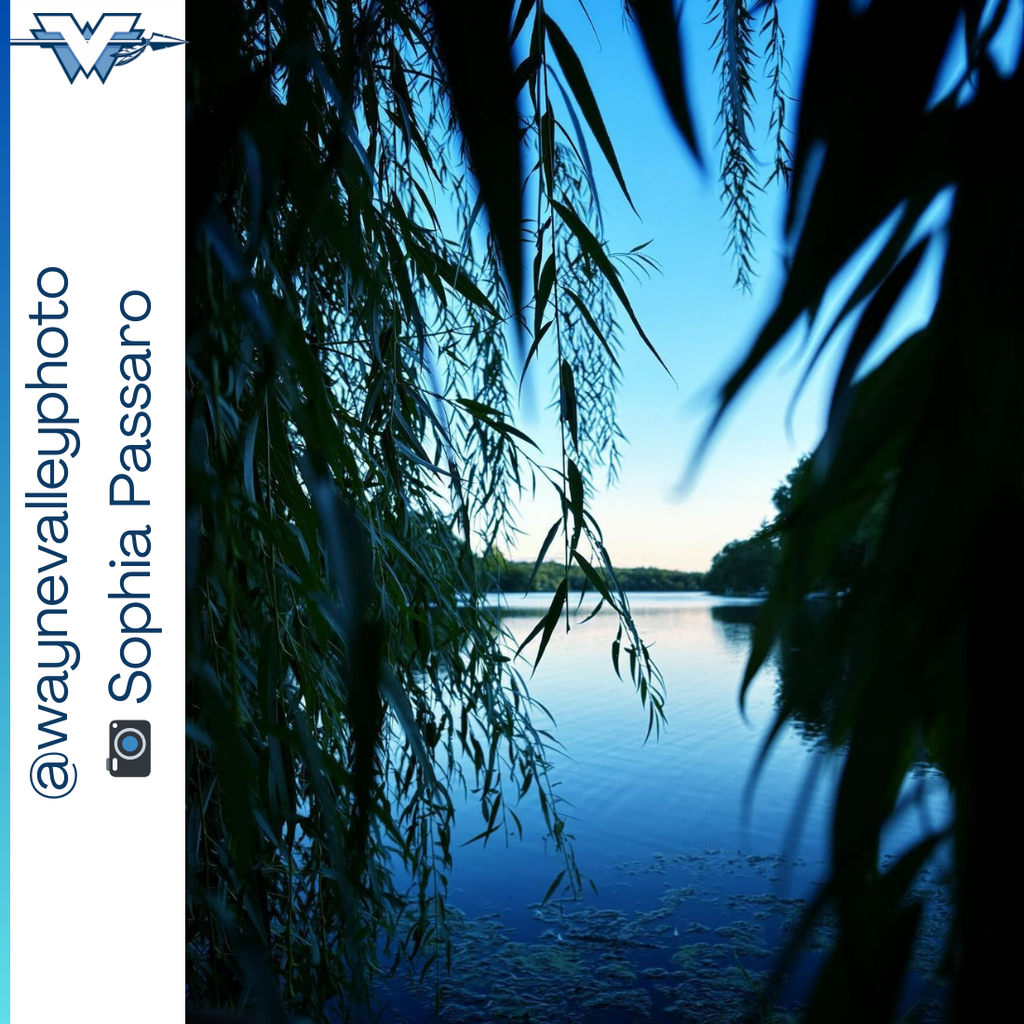 📷 WOW! 📷 These pictures are worth more than a thousand words. #wayneschoolsnj #waynevalleyhs #waynevalleyphoto