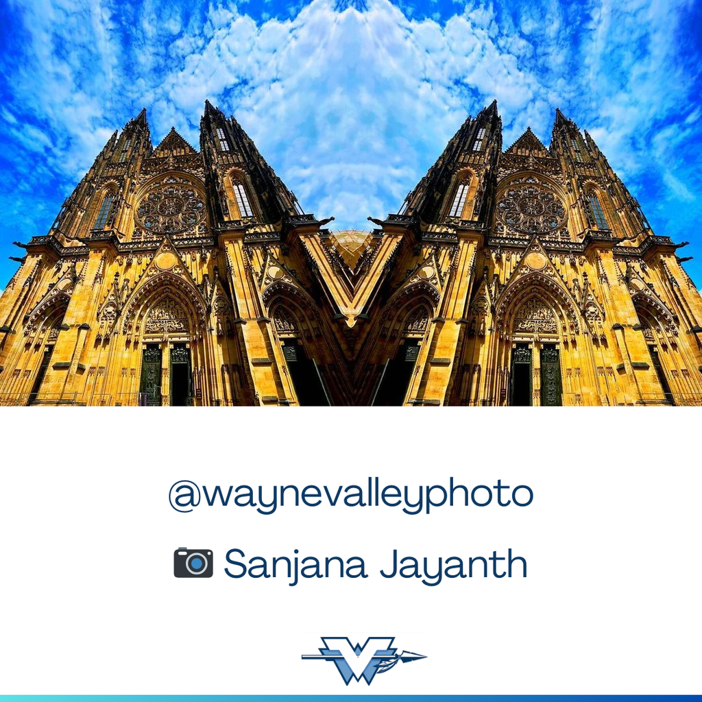 More amazing photos from our High School Students! 📷 #wayneschoolsnj #wayneshillshs #whhs_photo #waynevalleyHS #waynevalleyphoto