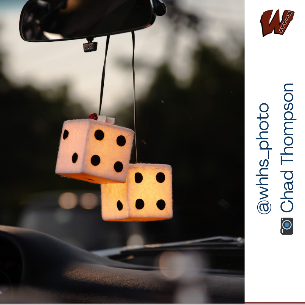 More amazing photos from our High School Students! 📷 #wayneschoolsnj #wayneshillshs #whhs_photo #waynevalleyHS #waynevalleyphoto