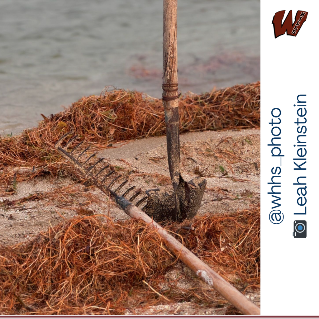 More amazing photos from our High School Students! 📷 #wayneschoolsnj #wayneshillshs #whhs_photo #waynevalleyHS #waynevalleyphoto