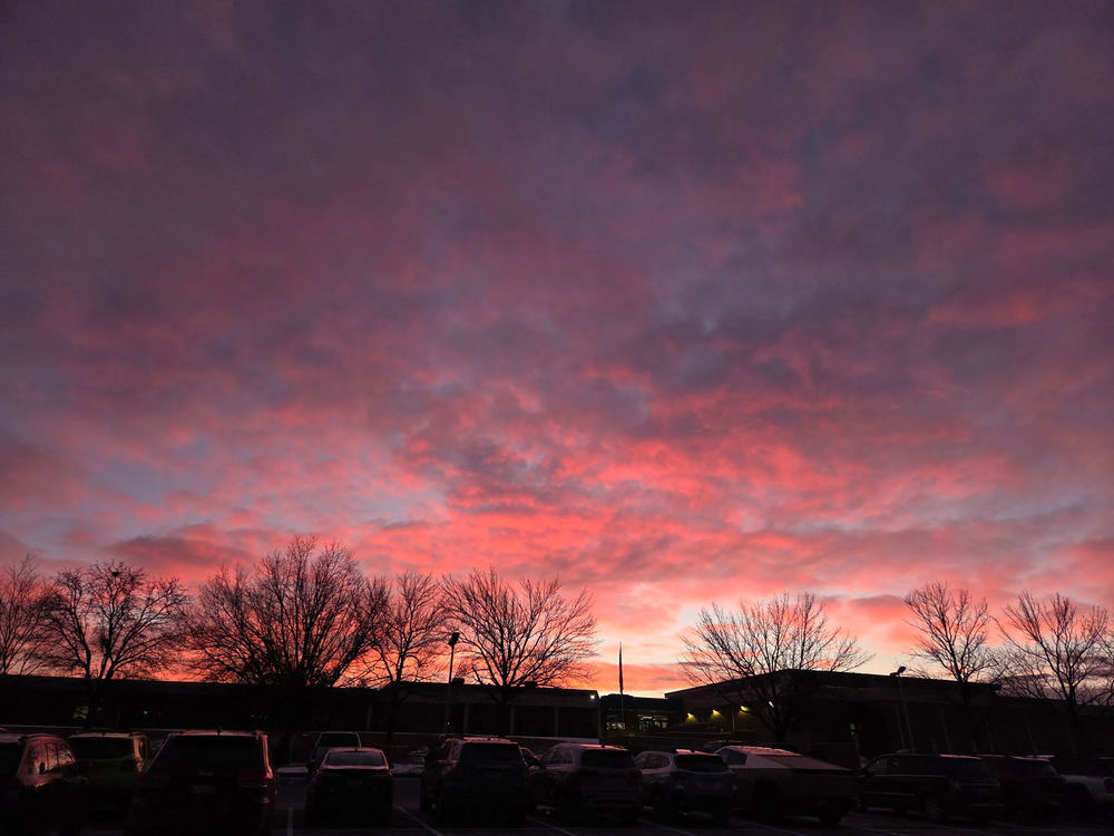 WAMS Family Newsletter