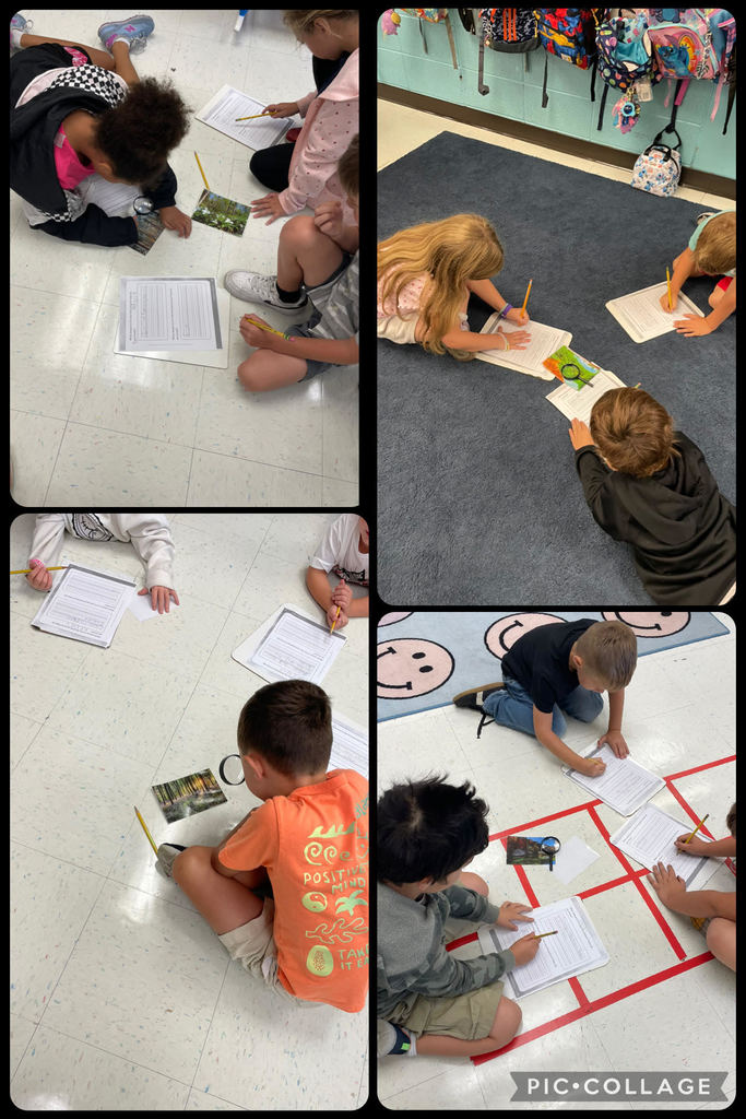 1st graders