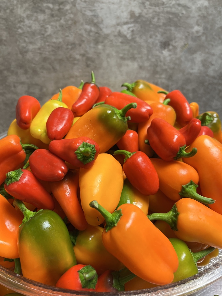 Harvest of the Month September - Peppers