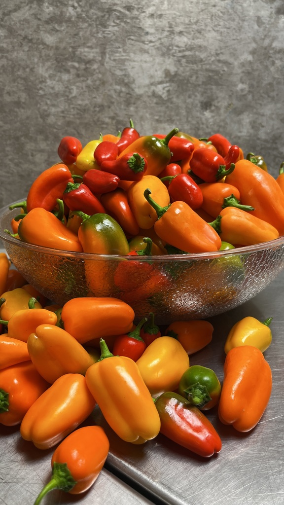Harvest of the Month September - Peppers
