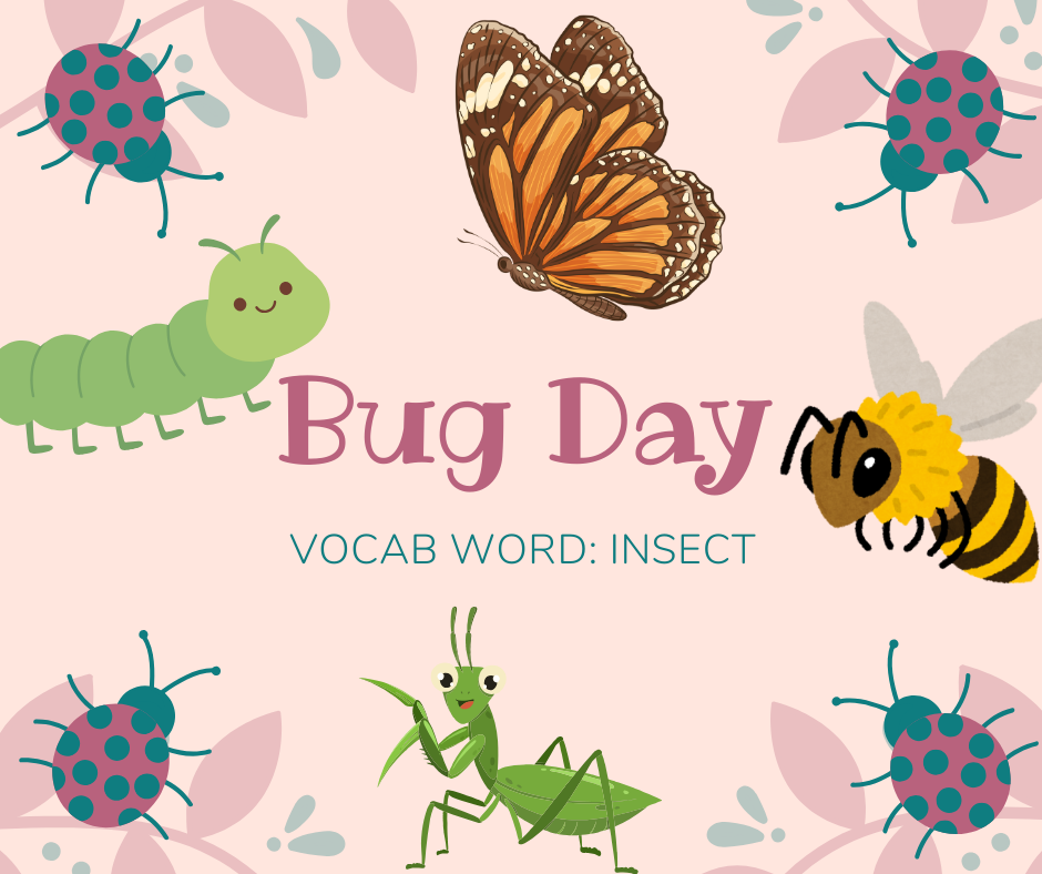 bug day