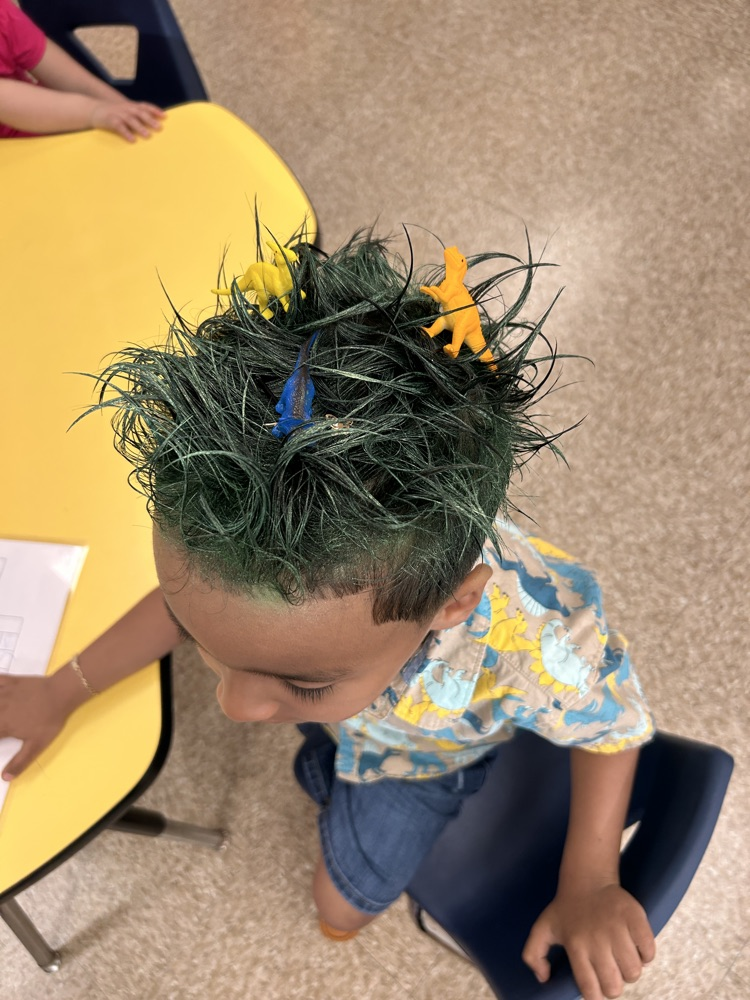 crazy hair day