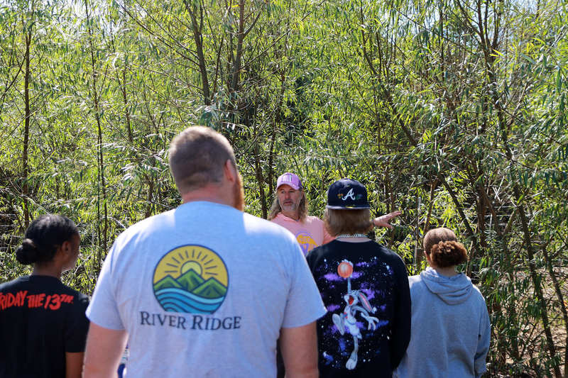 The Willow Classroom