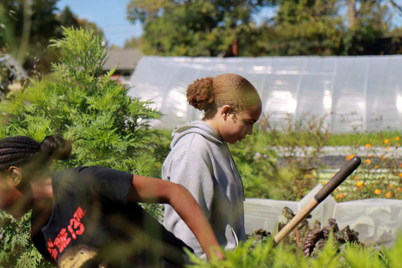 Working on the farm 1