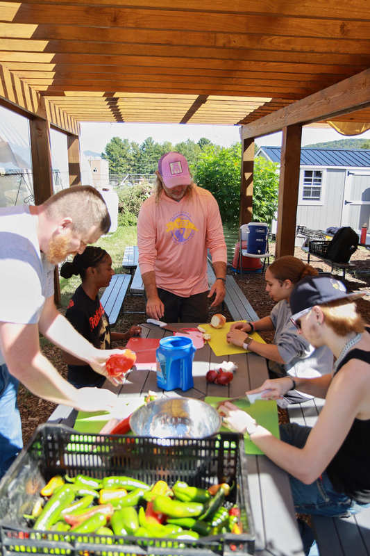 dicing up the veggies