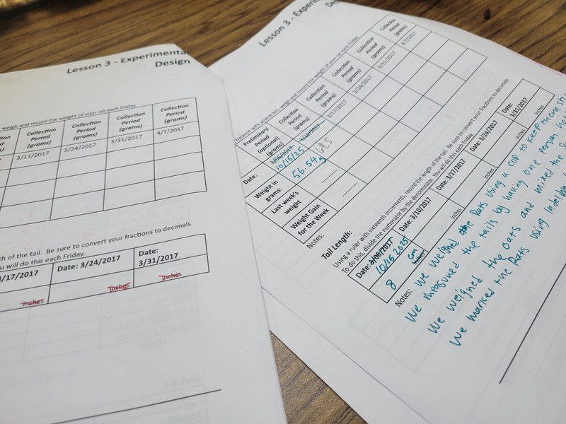 writing observations