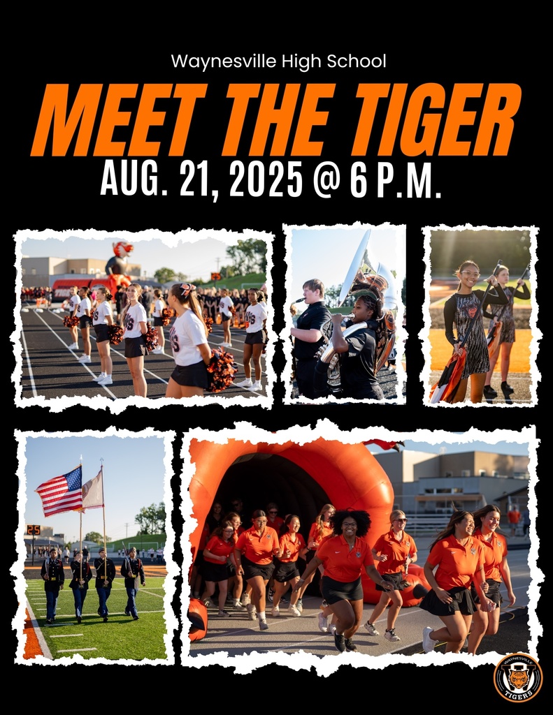 Meet the Tiger