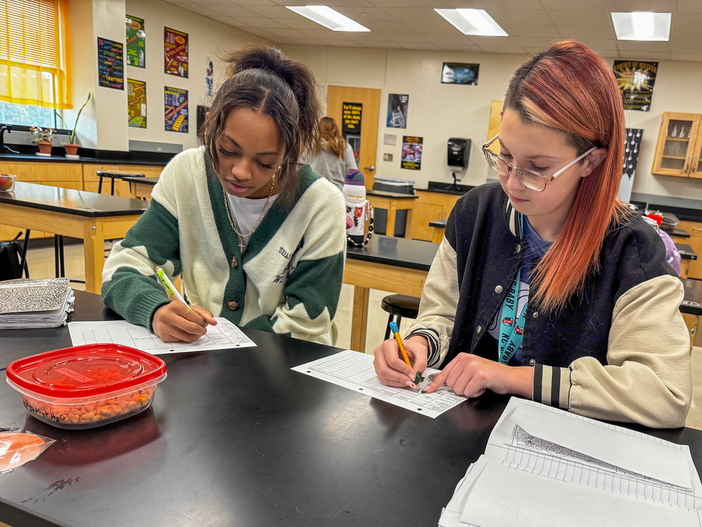 To review their learning standards, 8th graders rotated through stations, tackling questions that pushed them to sort and classify items like true scientists in Kelly Jackson’s science class at Waynesville Middle School. Stations were filled with everyday items—an aluminum cube, an empty can, rusty metal, baking soda, fruit, gelatin, cereal, pasta and beans, sand, sugar water, melted crayons, and even air trapped in a balloon. At each stop, they answered questions such as: · Is it a metal, substance or mixture? How do you know? · Is it heterogeneous or homogeneous? · Is it an element or compound? · What variations make this easily categorized? · How is a colloid different from a suspension? This hands-on learning turned simple objects into a real-world learning experience.