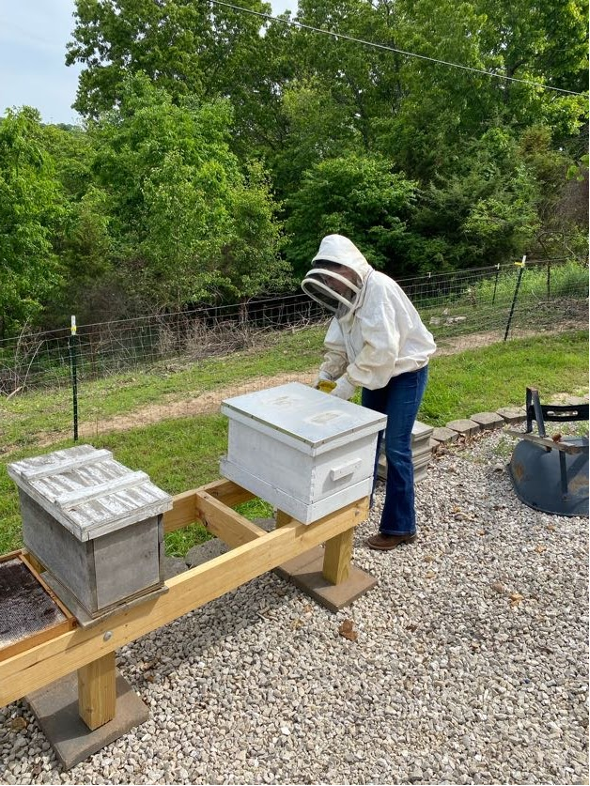 WCC student working with bees