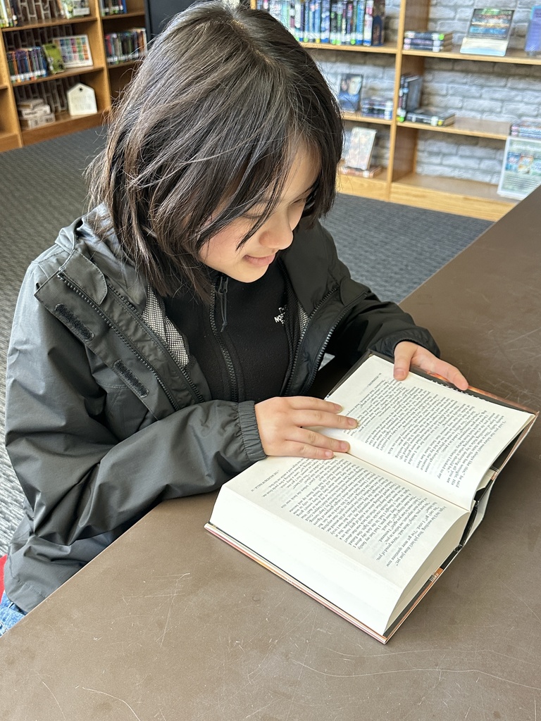 Student reading in school library