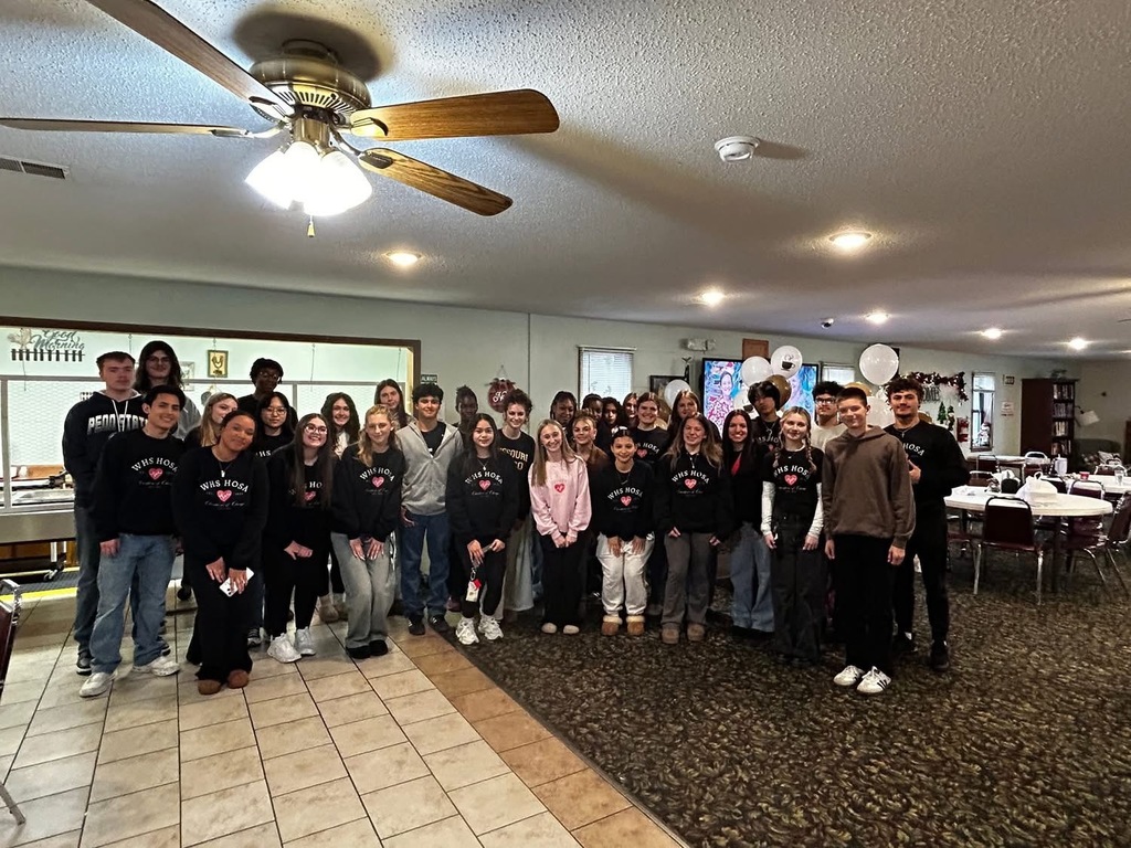 WHS HOSA wins award at State