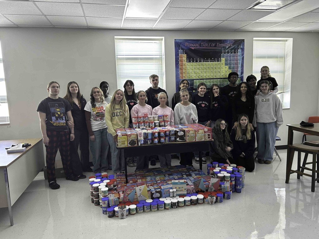 WHS HOSA wins award at State