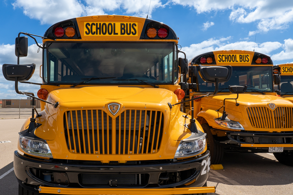 Buses 