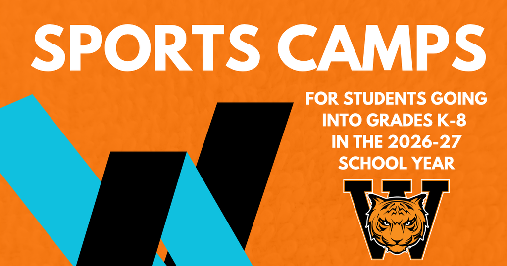Summer sports camps