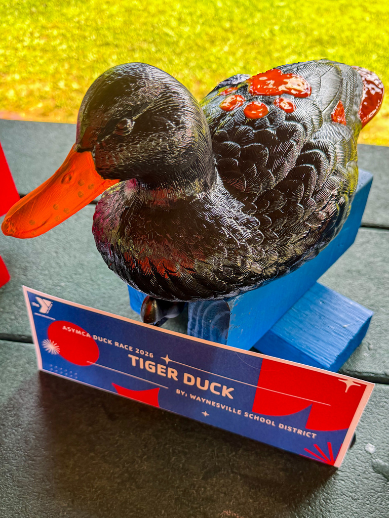Duck Race