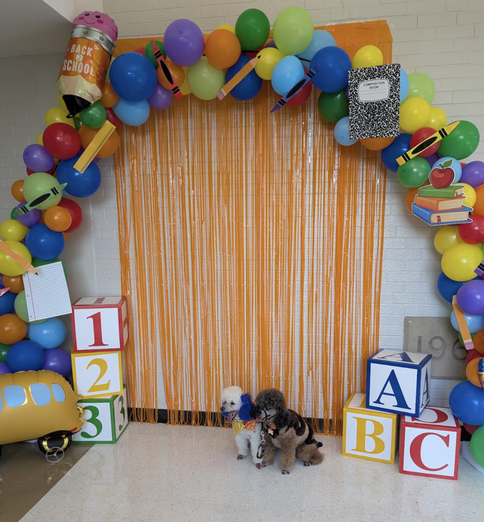 Poodles