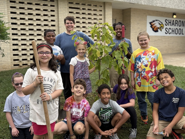 Planting a Tree 1