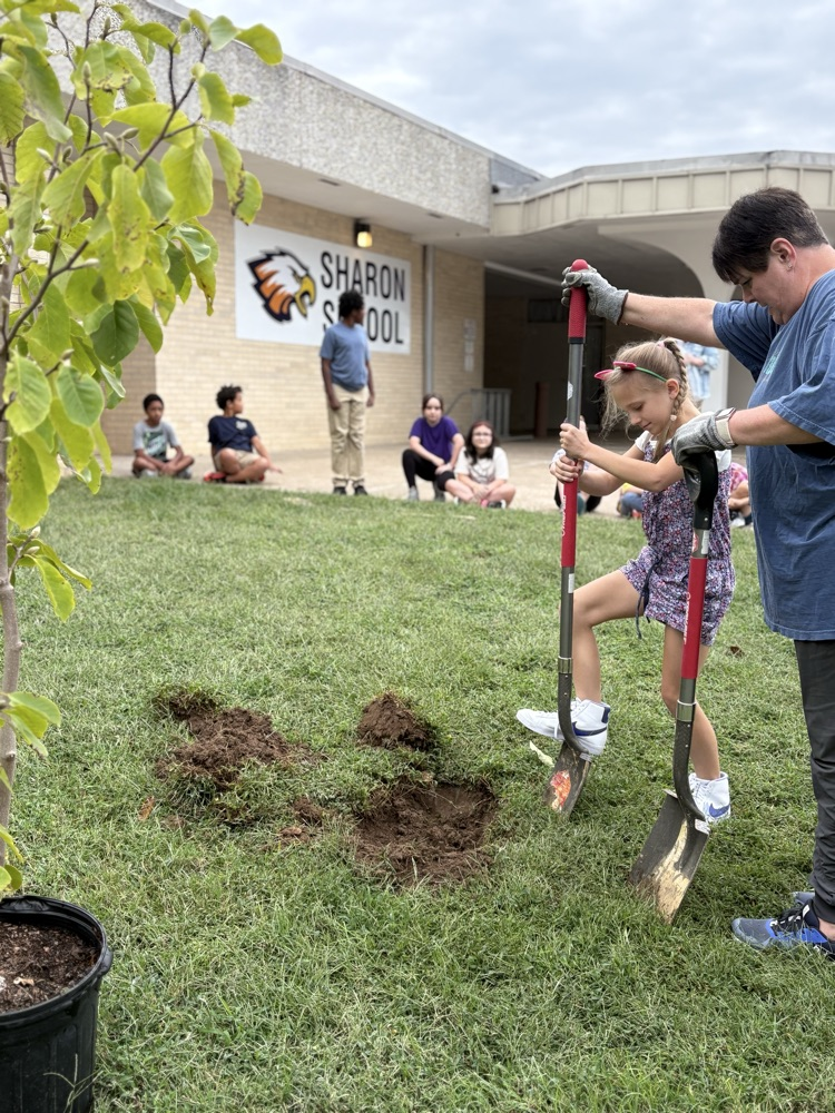 Planting a Tree 4
