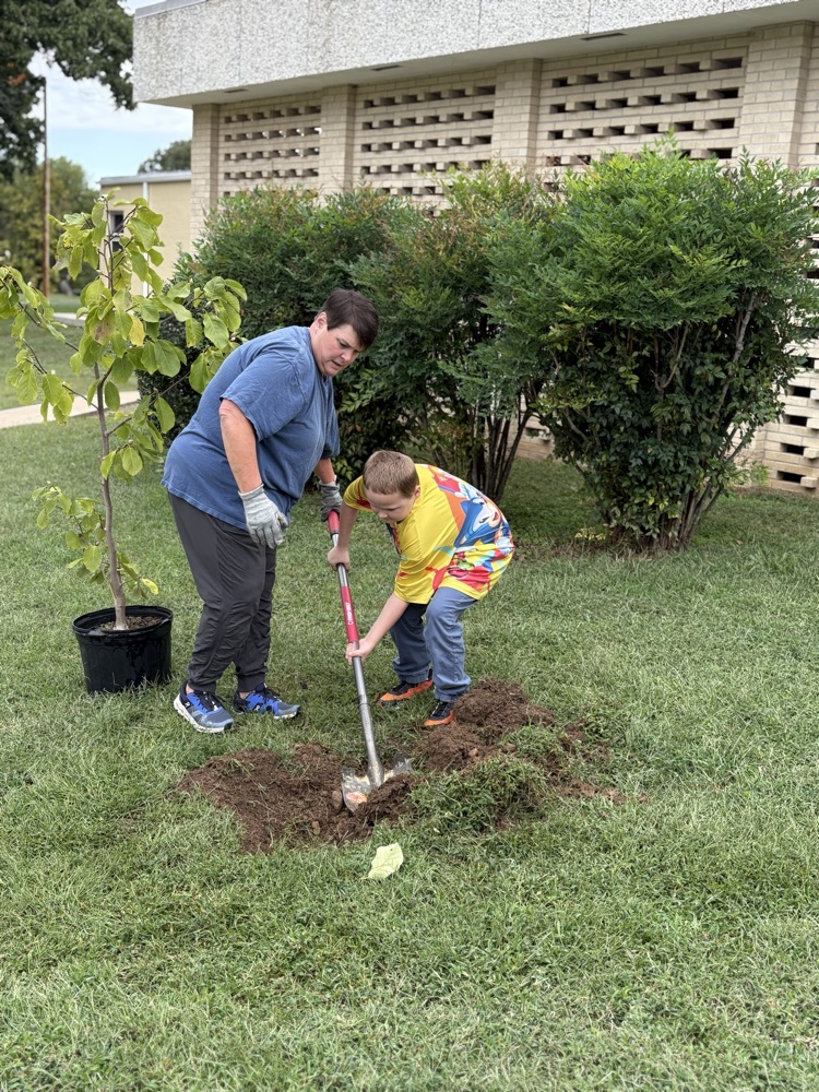 Planting a Tree 5