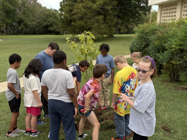 Planting a Tree 6