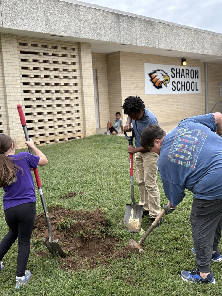 Planting a Tree 7
