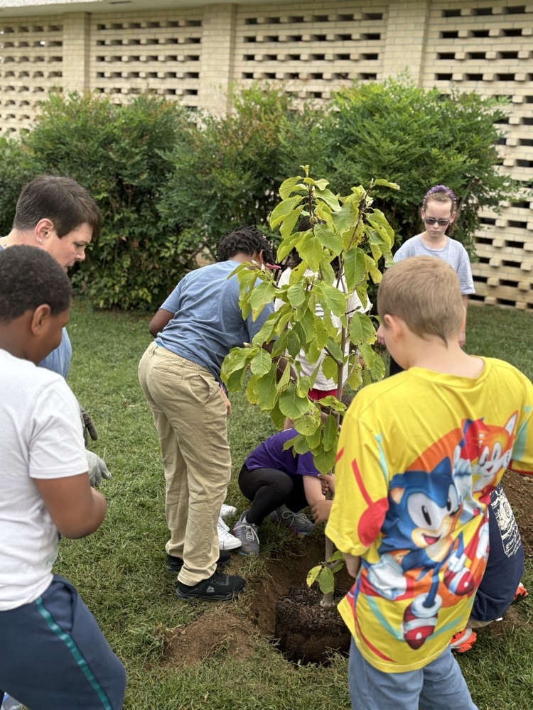 Planting a Tree 8