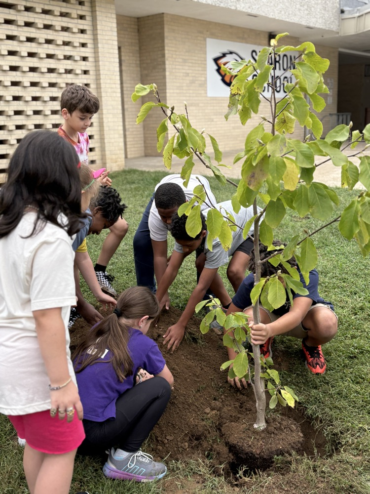 Planting a Tree 9