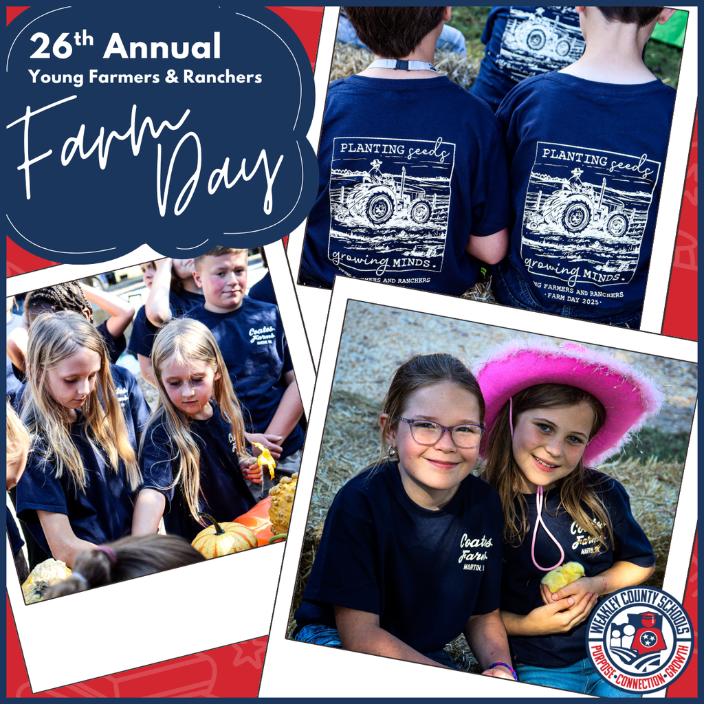 Farm day graphic cover - polaroid style images of students learning at farm day