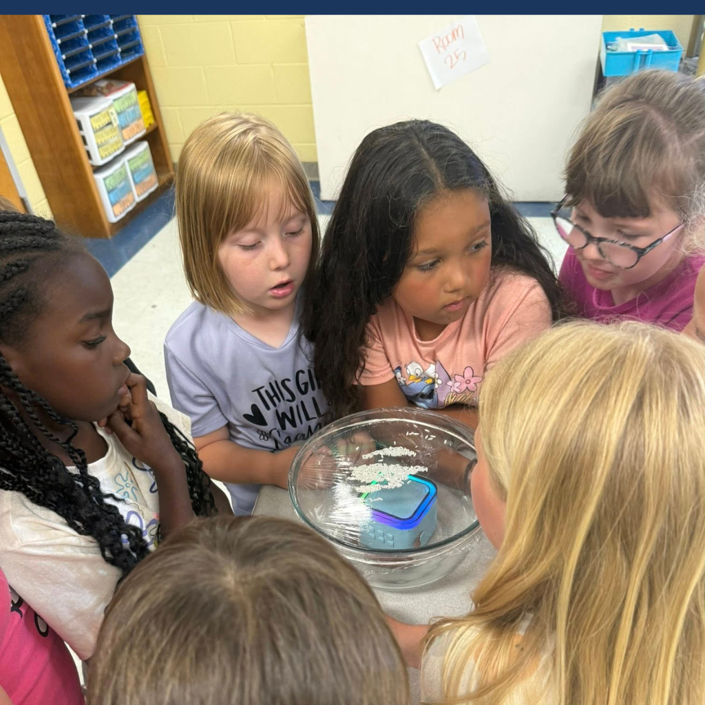 Five young girls in a classroom are looking at a clear bowl filled with water and a small object.