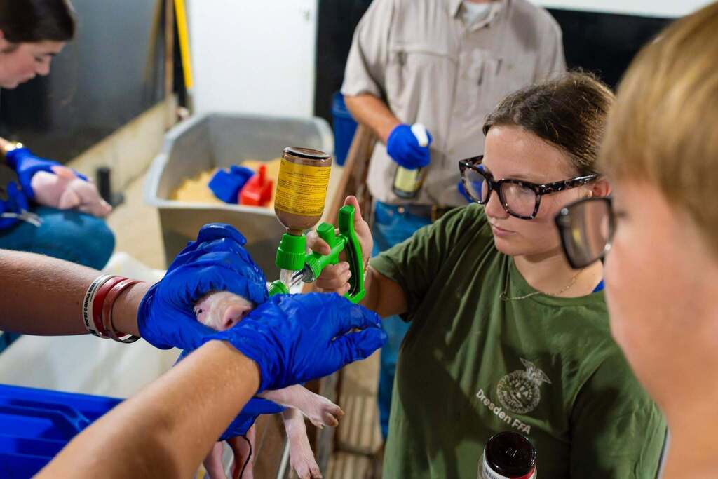 People in blue gloves in a room, one holding a small animal, another with a spray bottle.