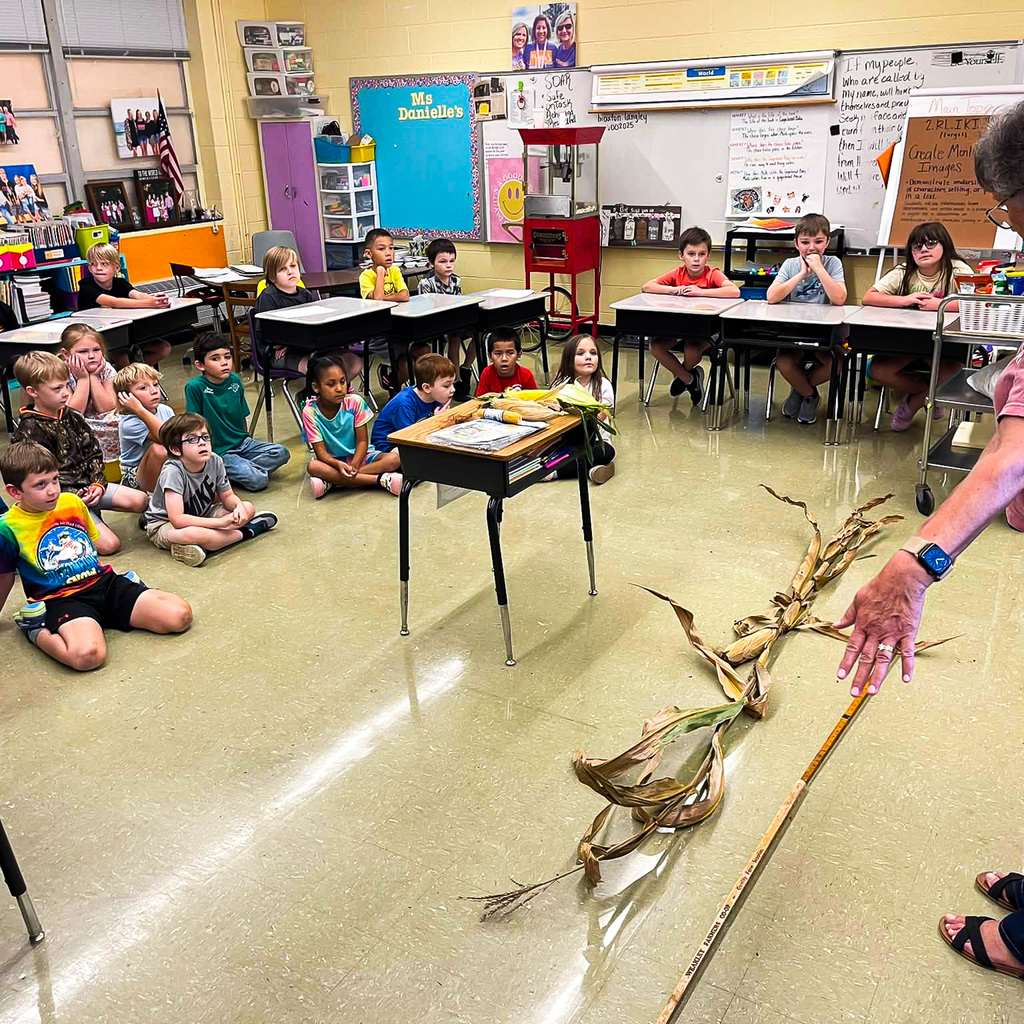 Elementary students watch from their desks and the classroom floor as Miss Terri Brundige uses a measuring stick beside a dried corn stalk during a lesson about the corn plant and its life cycle.